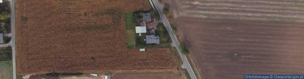 Zdjęcie satelitarne Papowo Biskupie ul.