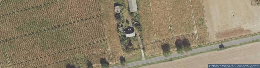 Zdjęcie satelitarne Paruszewo ul.