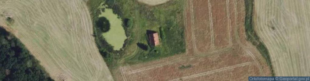 Zdjęcie satelitarne Pasaria ul.