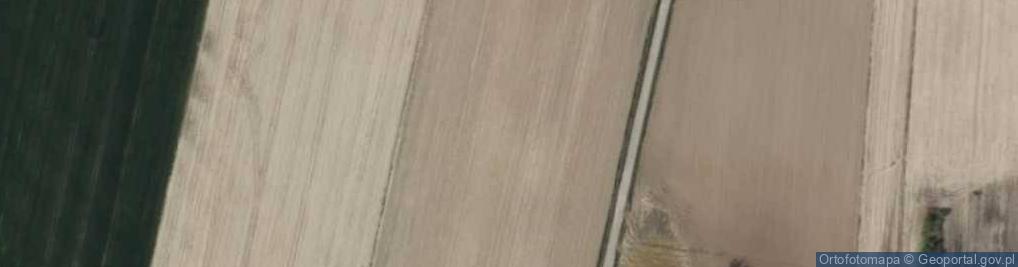 Zdjęcie satelitarne Pasieka ul.