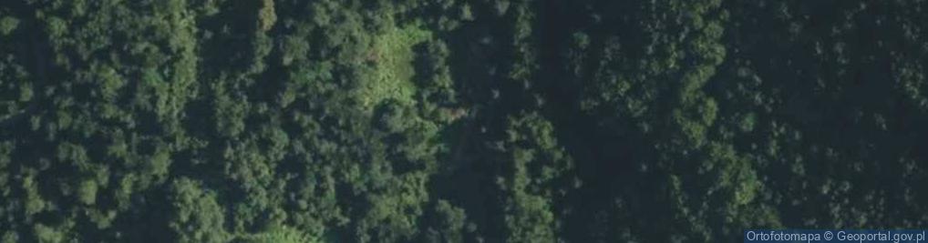 Zdjęcie satelitarne Pasierbiec ul.