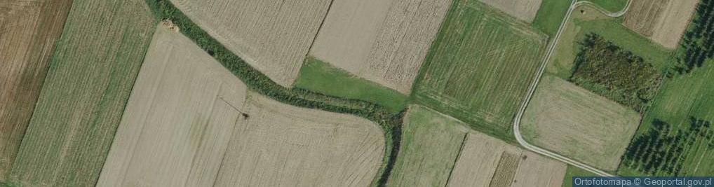 Zdjęcie satelitarne Paszczyna ul.