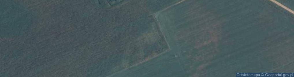 Zdjęcie satelitarne Patrykozy-Kolonia ul.