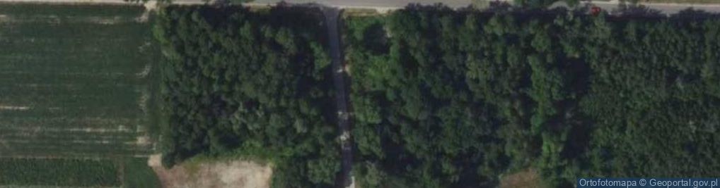 Zdjęcie satelitarne Paulinowo ul.