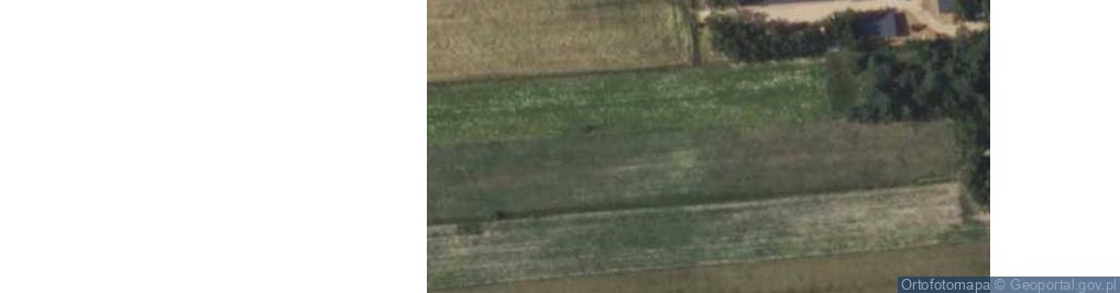 Zdjęcie satelitarne Paulinowo ul.