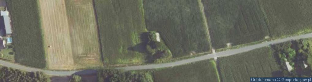 Zdjęcie satelitarne Pawelce ul.