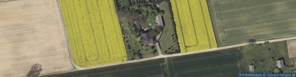 Zdjęcie satelitarne Pawlin ul.
