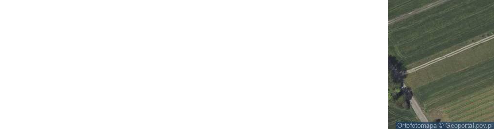 Zdjęcie satelitarne Pawlin ul.