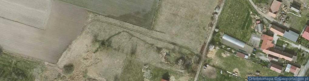 Zdjęcie satelitarne Pawłów Trzebnicki ul.