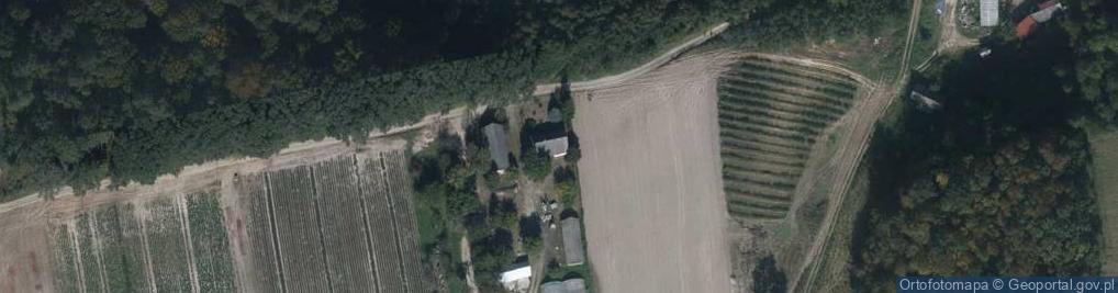 Zdjęcie satelitarne Pawłówka ul.