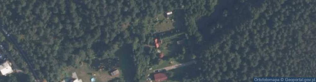 Zdjęcie satelitarne Pazurek ul.