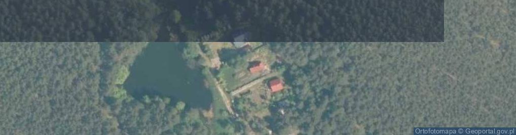 Zdjęcie satelitarne Pazurek ul.