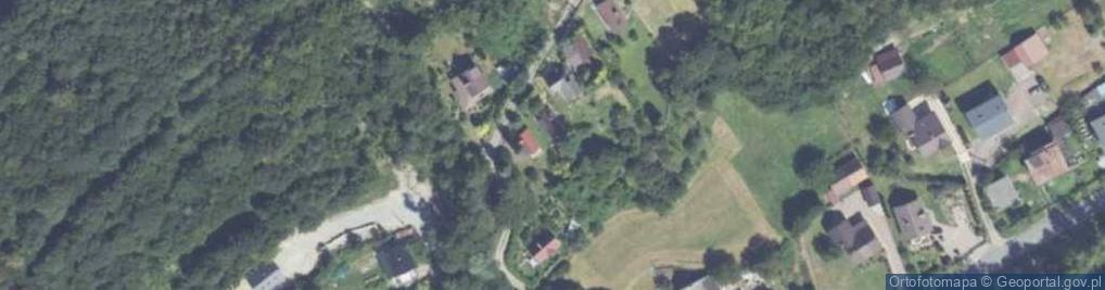 Zdjęcie satelitarne Pasieczna ul.