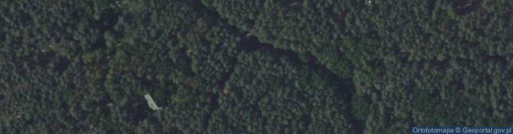 Zdjęcie satelitarne Paproci ul.