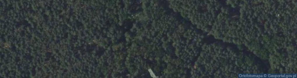 Zdjęcie satelitarne Paproci ul.