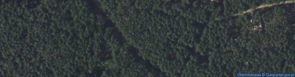 Zdjęcie satelitarne Paproci ul.