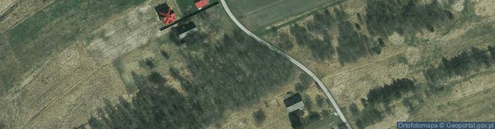 Zdjęcie satelitarne Papieska ul.