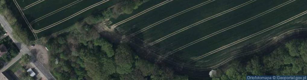 Zdjęcie satelitarne Pasternaka Michała ul.