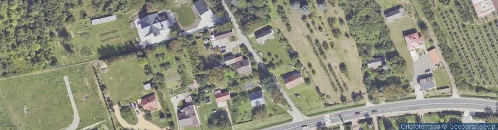 Zdjęcie satelitarne Partyzantów ul.