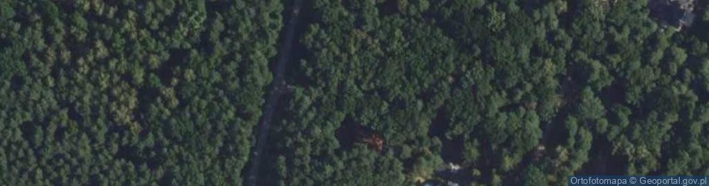 Zdjęcie satelitarne Palisandrowa ul.