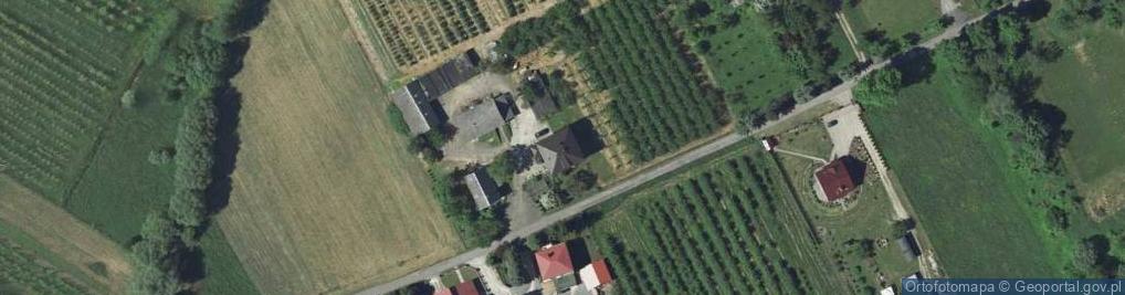 Zdjęcie satelitarne Pałacowa ul.