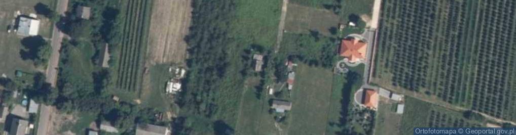 Zdjęcie satelitarne Pałacowa ul.