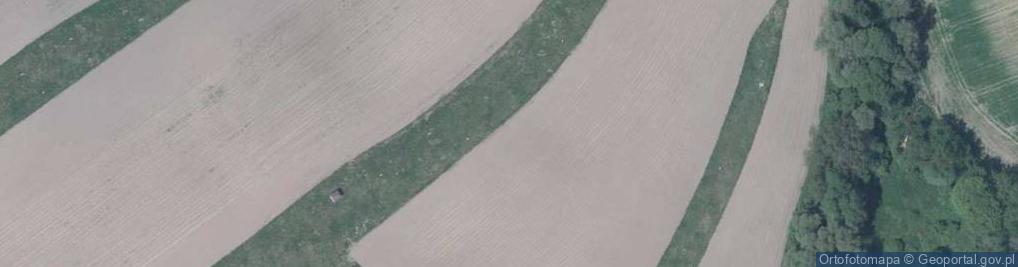 Zdjęcie satelitarne Pana Tadeusza ul.