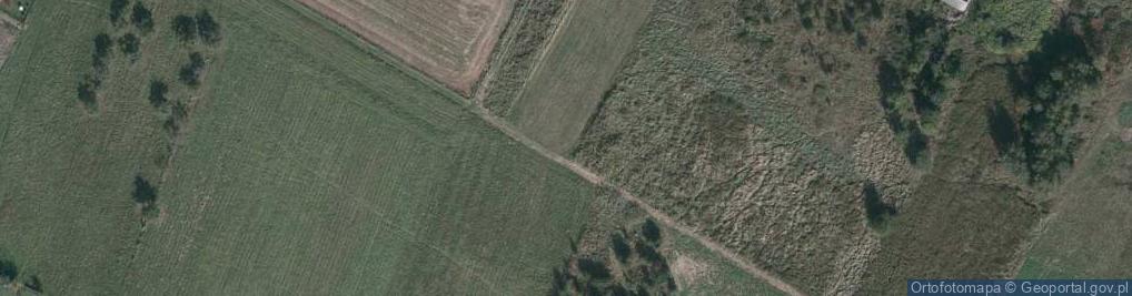 Zdjęcie satelitarne Palmowa ul.