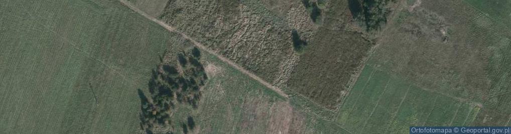 Zdjęcie satelitarne Palmowa ul.