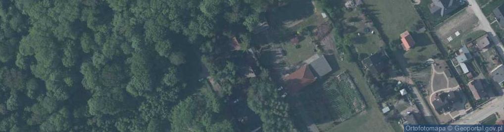 Zdjęcie satelitarne Paprotna ul.