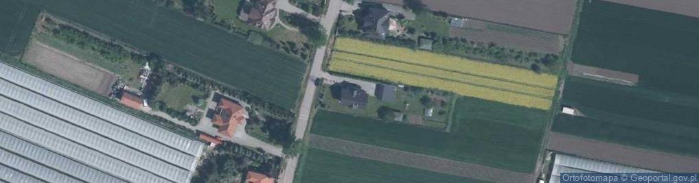 Zdjęcie satelitarne Parkowa ul.