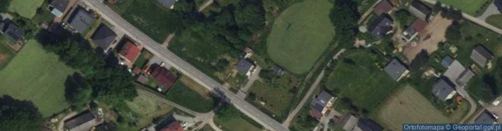 Zdjęcie satelitarne Pawia ul.