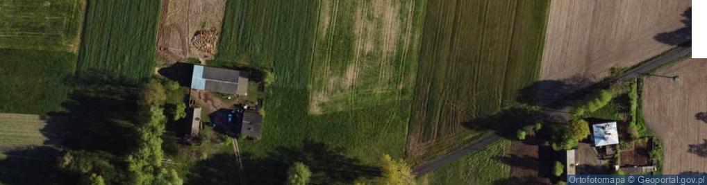 Zdjęcie satelitarne Perłowa ul.