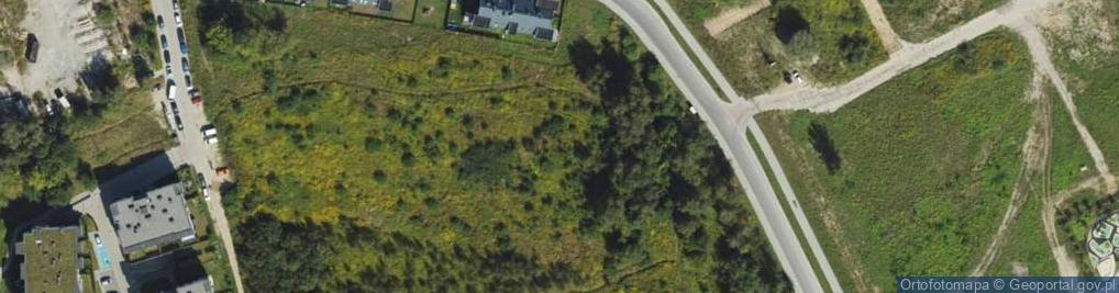 Zdjęcie satelitarne Pękowicka ul.