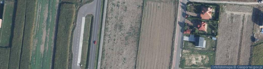 Zdjęcie satelitarne Perłowa ul.