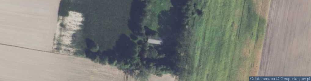 Zdjęcie satelitarne Pęcherze ul.