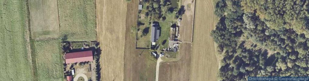 Zdjęcie satelitarne Pęcherzew ul.