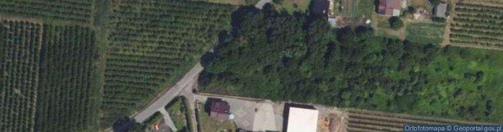 Zdjęcie satelitarne Pęcław ul.