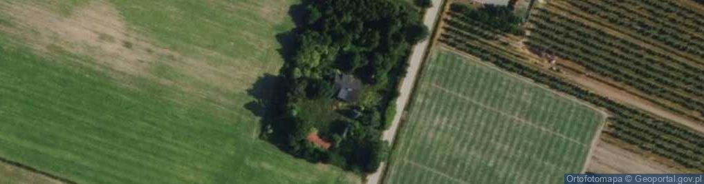 Zdjęcie satelitarne Pękoszew ul.
