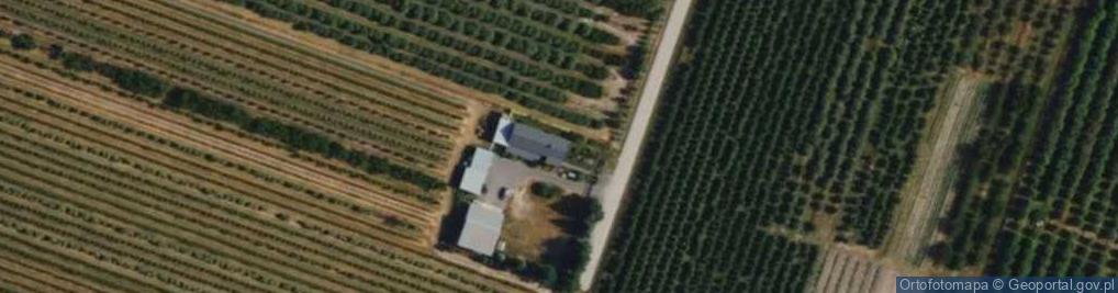 Zdjęcie satelitarne Pękoszew ul.