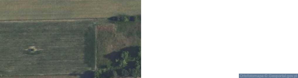 Zdjęcie satelitarne Pękowo ul.