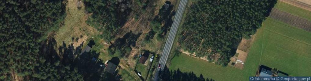 Zdjęcie satelitarne Piotrkowska ul.