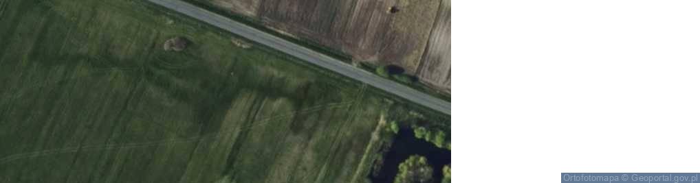 Zdjęcie satelitarne Piotrkowska ul.