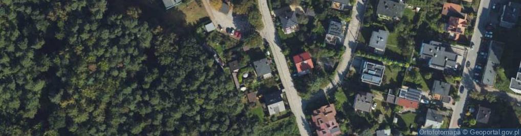 Zdjęcie satelitarne Pionierów ul.