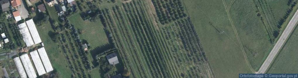 Zdjęcie satelitarne Piaseczyńska ul.