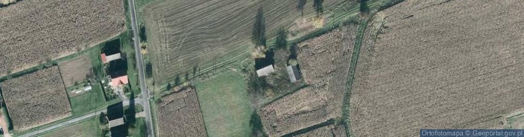 Zdjęcie satelitarne Pilotów ul.