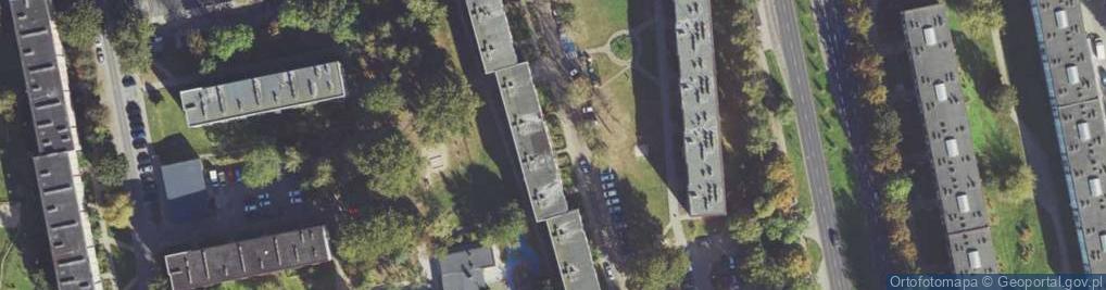 Zdjęcie satelitarne Pionierów ul.