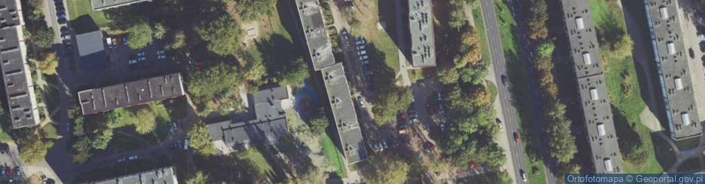 Zdjęcie satelitarne Pionierów ul.