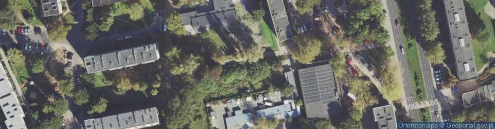 Zdjęcie satelitarne Pionierów ul.