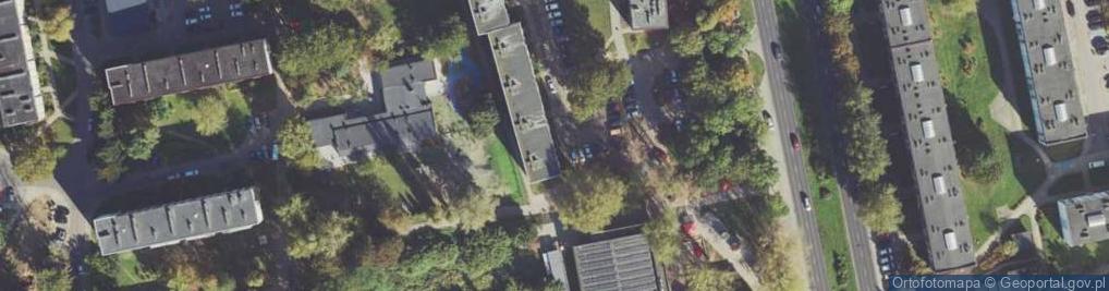 Zdjęcie satelitarne Pionierów ul.
